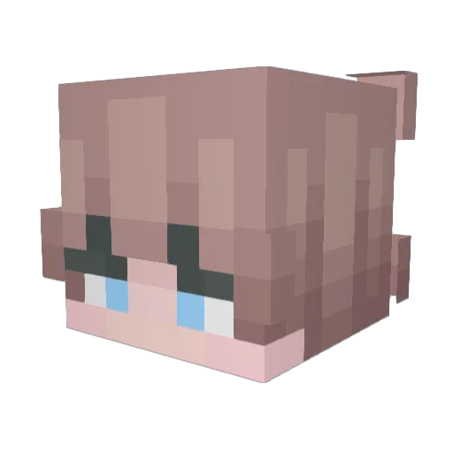XxSRTRr Minecraft avatar head, 3D render