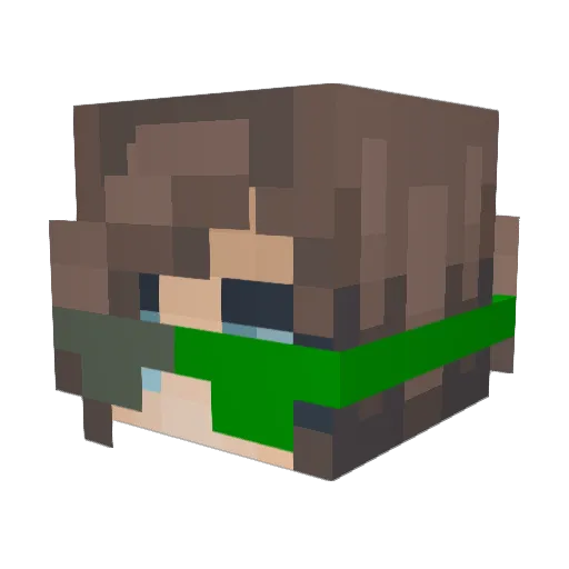 XxSTEWCREWxX1 Minecraft avatar head, 3D render