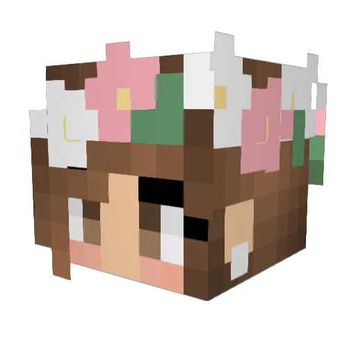 XxSammy_PlayzxX Minecraft avatar head, 3D render