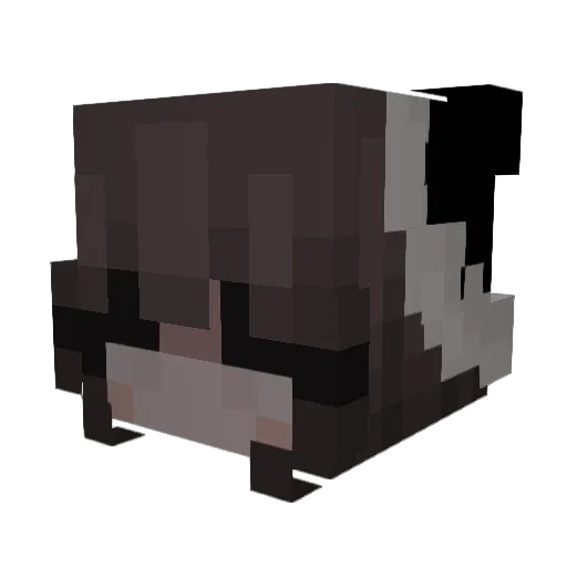 XxSchadowxX Minecraft avatar head, 3D render