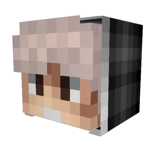 XxSebaxX8895 Minecraft avatar head, 3D render