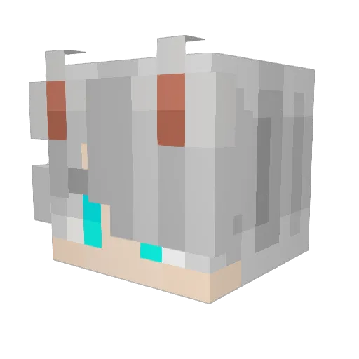XxSkiyverXx Minecraft avatar head, 3D render