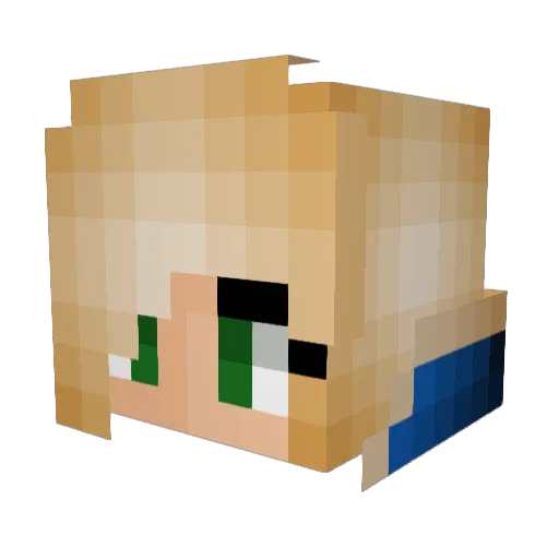 XxSkywalker0xX Minecraft avatar head, 3D render