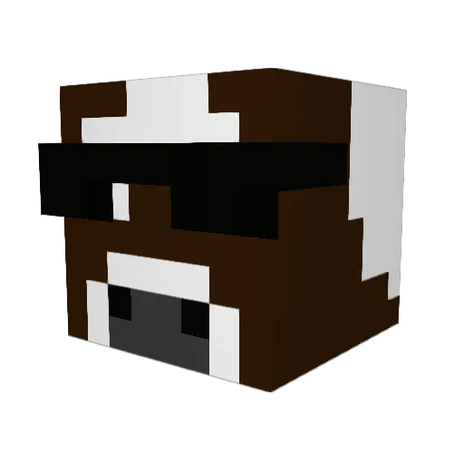 XxSlyHunterxX Minecraft avatar head, 3D render
