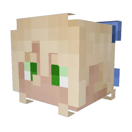 XxSoak_CokexX Minecraft avatar head, 3D render