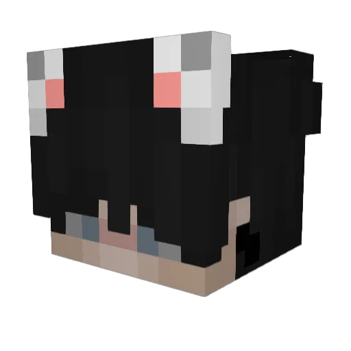 XxSrIsmaelxX Minecraft avatar head, 3D render