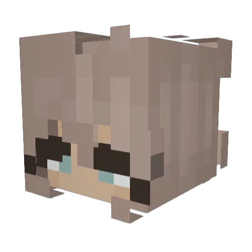 XxSunflwerxX Minecraft avatar head, 3D render
