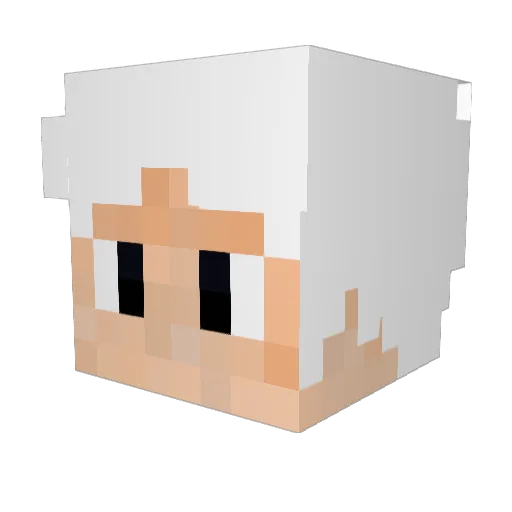 XxSuperMan511xX Minecraft avatar head, 3D render