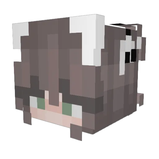 XxSuperior28 Minecraft avatar head, 3D render