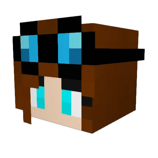 XxTDMFANxX Minecraft avatar head, 3D render
