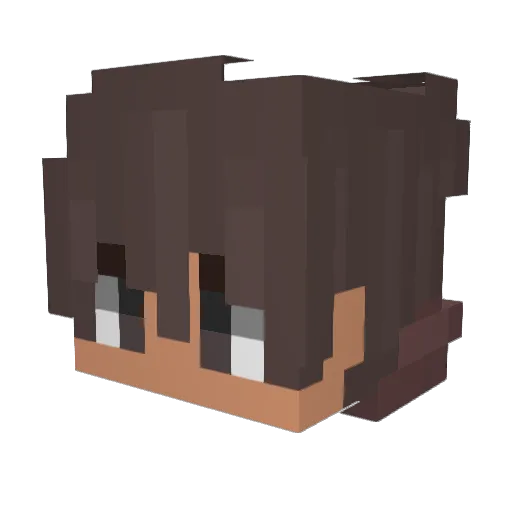 XxTHESHADOWxX9 Minecraft avatar head, 3D render