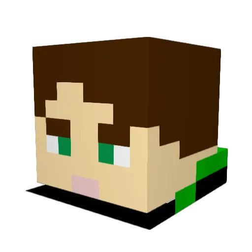 XxTNTlordxX Minecraft avatar head, 3D render