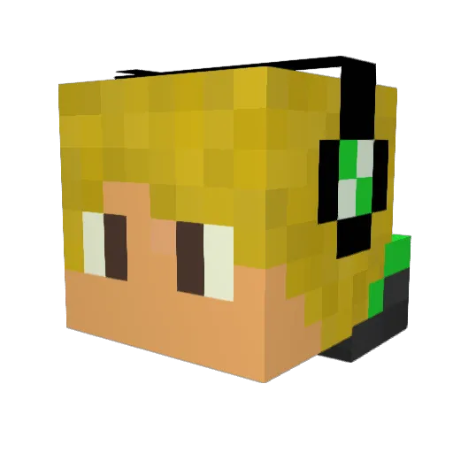 XxTOXIC_SAVAGExX Minecraft avatar head, 3D render