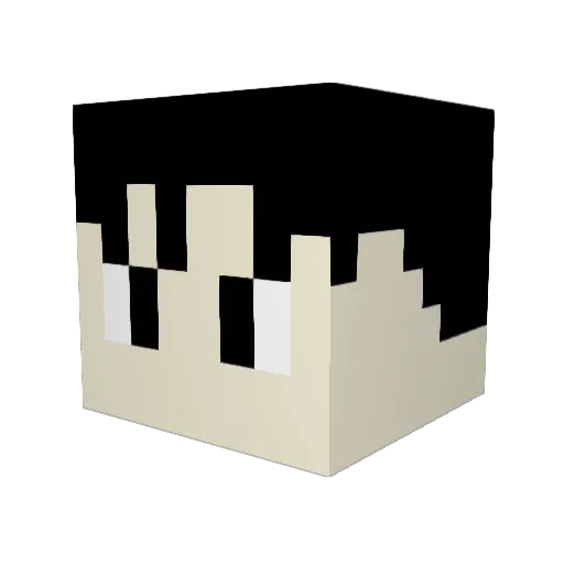 XxTROY_90xX Minecraft avatar head, 3D render