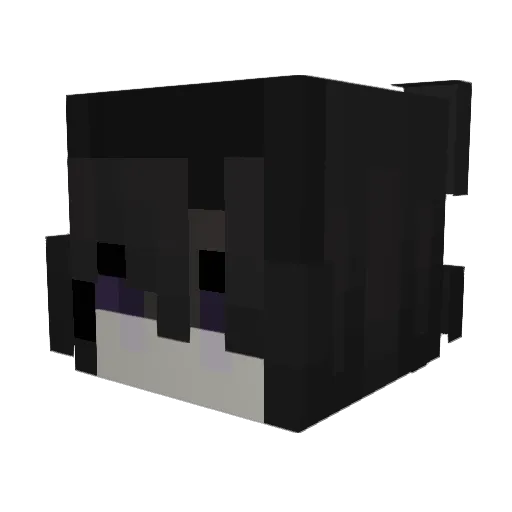 XxTheFallenOnexX Minecraft avatar head, 3D render