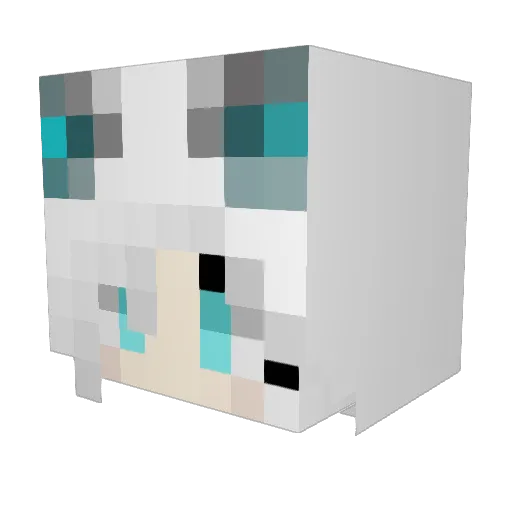 XxTianYuxX Minecraft avatar head, 3D render