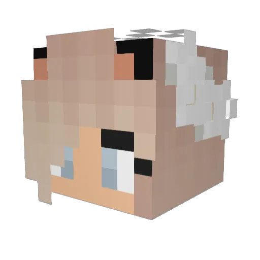 XxTigressXTMTxX Minecraft avatar head, 3D render