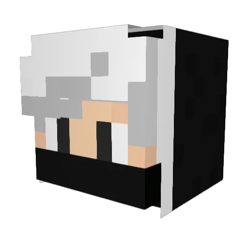 XxTitoxX Minecraft avatar head, 3D render