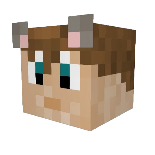 XxTrickskilzxX Minecraft avatar head, 3D render