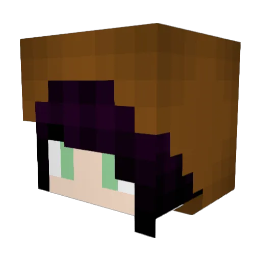 XxWalrusCakesxX Minecraft avatar head, 3D render