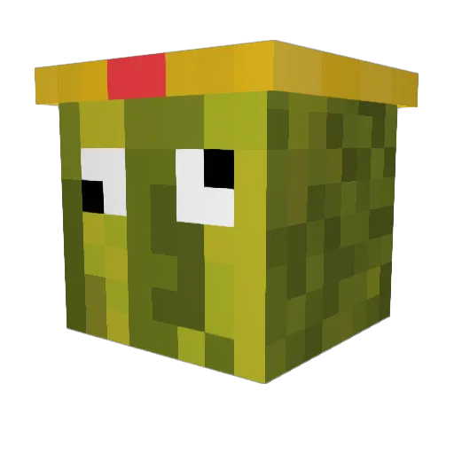 XxWatermellowxX Minecraft avatar head, 3D render
