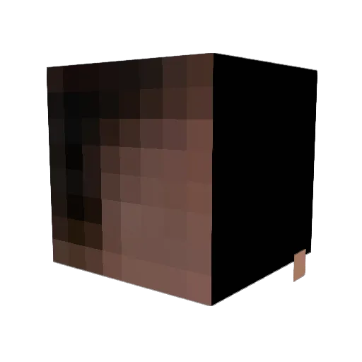 XxWeLikeFortnite Minecraft avatar head, 3D render