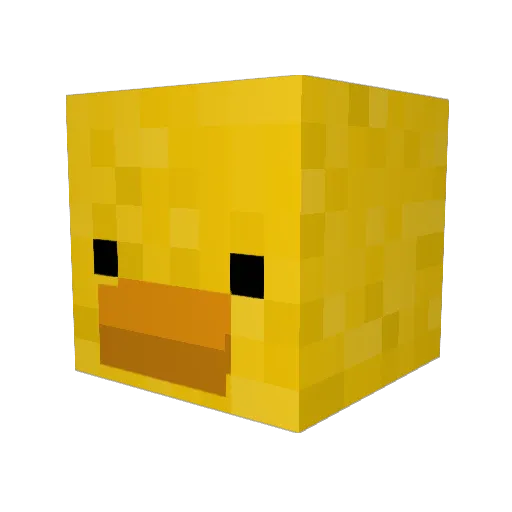 XxWojteqx Minecraft avatar head, 3D render