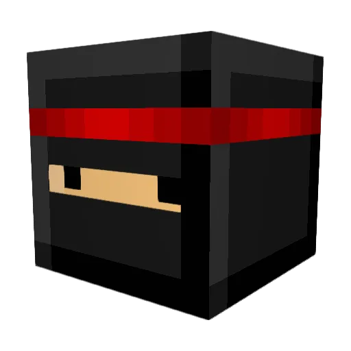 XxXBlackNinjaXxX Minecraft avatar head, 3D render