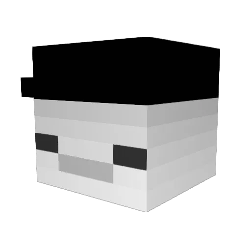 XxXHamburgerXxX Minecraft avatar head, 3D render