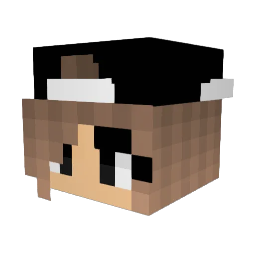 XxXIceWolfXxX Minecraft avatar head, 3D render