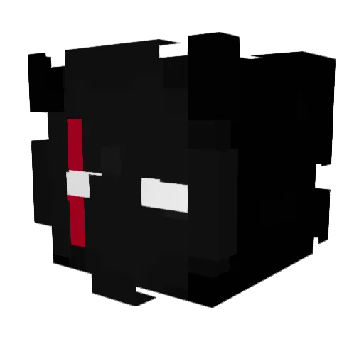 XxXJDXxX14 Minecraft avatar head, 3D render