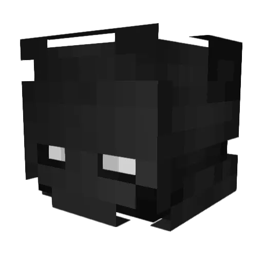 XxXPauloXxX Minecraft avatar head, 3D render