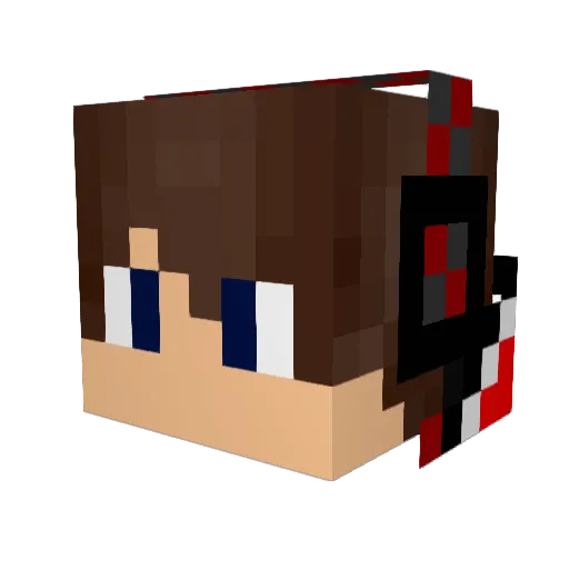 XxXVidaLocaXxX Minecraft avatar head, 3D render