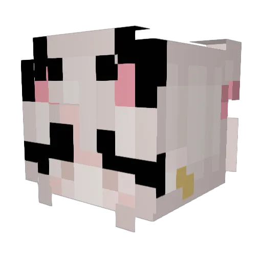 XxX_AirMax90_XxX Minecraft avatar head, 3D render