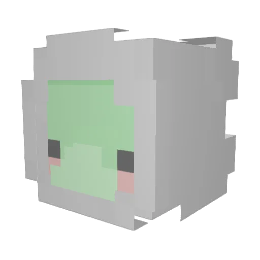 XxXxkillerninja Minecraft avatar head, 3D render
