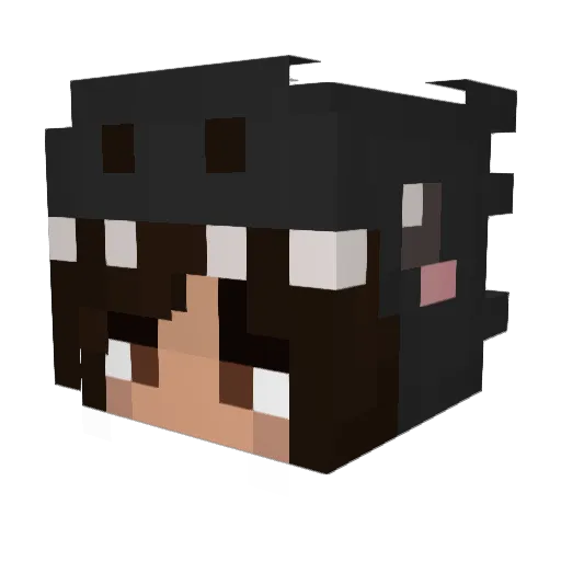 XxYnTTV Minecraft avatar head, 3D render