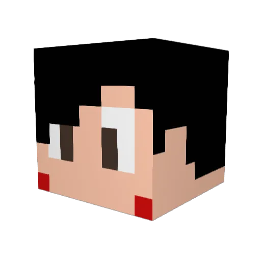 Xx_CAT_xX Minecraft avatar head, 3D render