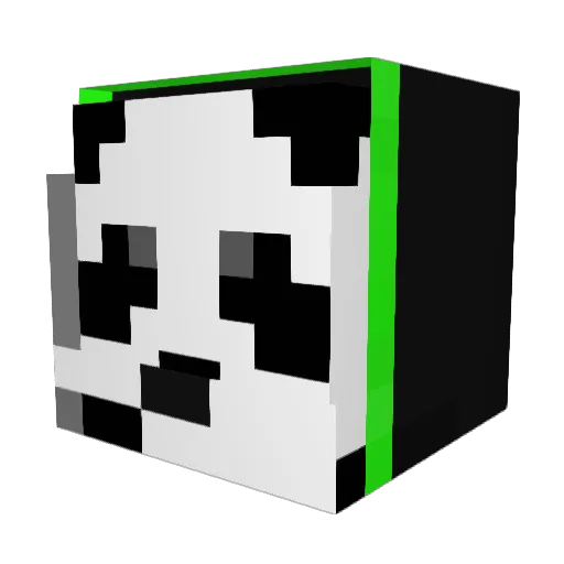 Xx_DaMeR_xX Minecraft avatar head, 3D render