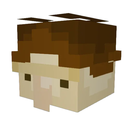 Xx_EcLiPsE Minecraft avatar head, 3D render