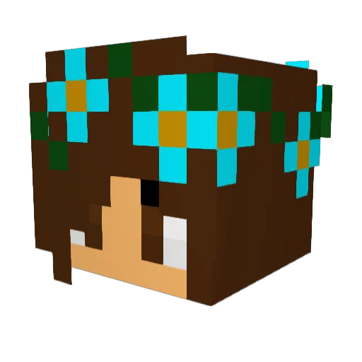 Xx_Erbear808_xX Minecraft avatar head, 3D render