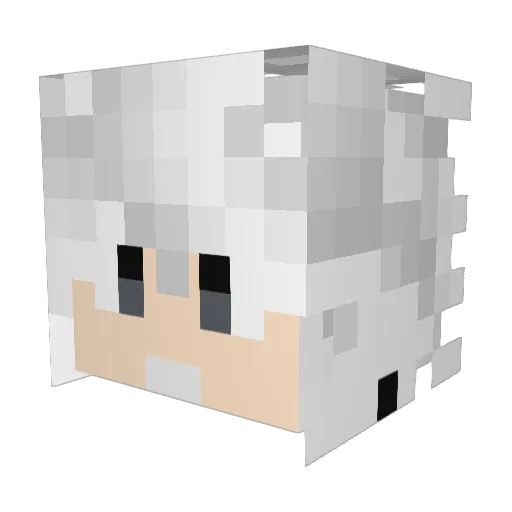 Xx_Faculty_xX Minecraft avatar head, 3D render