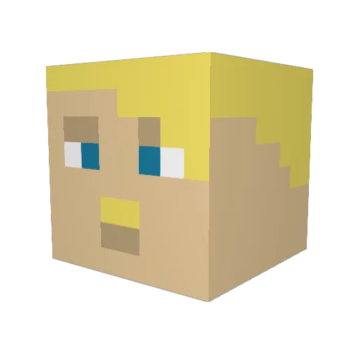 Xx_FunGaming_xX Minecraft avatar head, 3D render