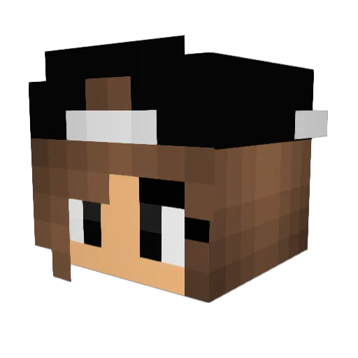 Xx_Galaxy_xX Minecraft avatar head, 3D render
