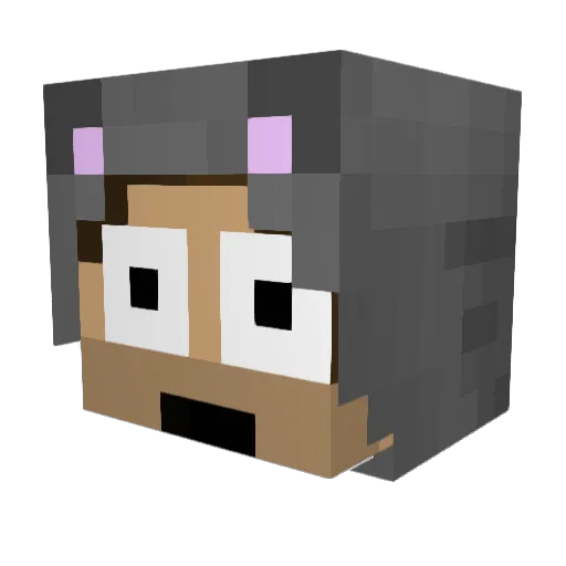 Xx_LoLiTsALeX_xX Minecraft avatar head, 3D render