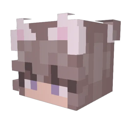 Xx_MTWE8xX Minecraft avatar head, 3D render
