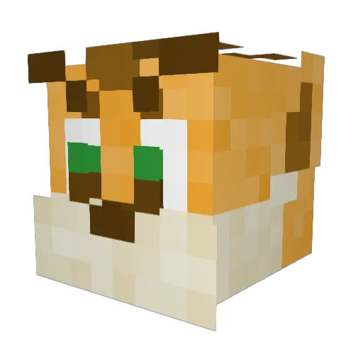 Xx_Mitty_xX Minecraft avatar head, 3D render