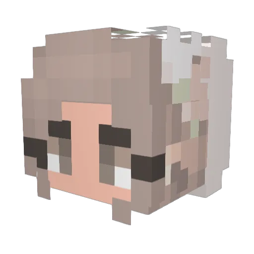 Xx_Nugget_xX Minecraft avatar head, 3D render