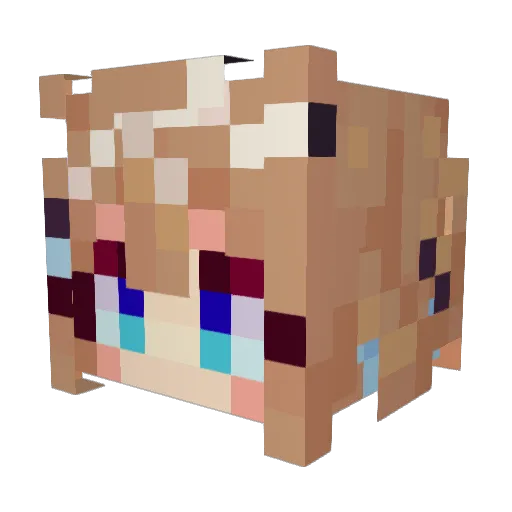 Xx_Riceshower_xX Minecraft avatar head, 3D render