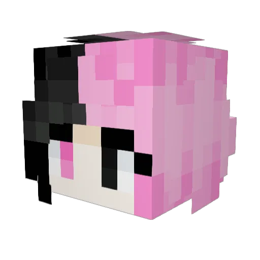 Xx_StarS Minecraft avatar head, 3D render