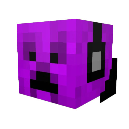 Xx_TMS_xX Minecraft avatar head, 3D render